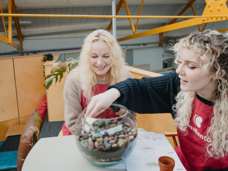 5 Classes in NYC Where You Can Build Your Own Terrarium